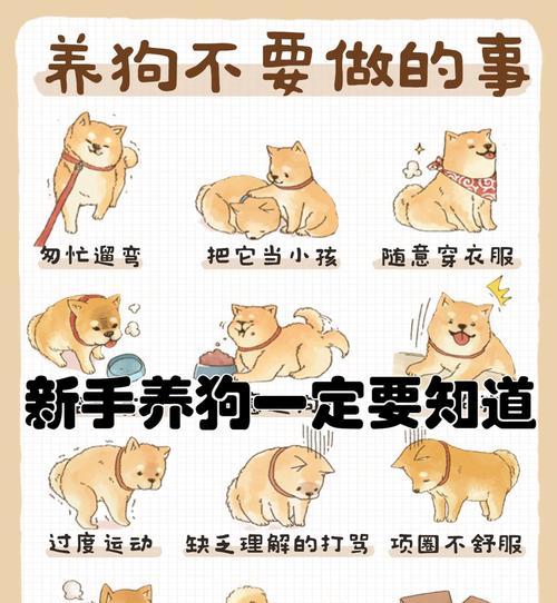 了解狗狗的成长周期，选择适合的体型（探索不同体型狗狗的成长需求与特点）