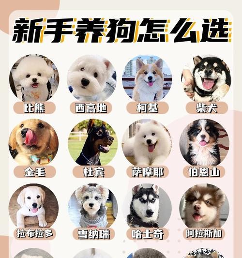 养护知识