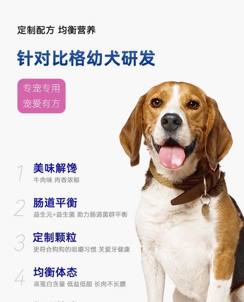 小狗补钙食物大全（了解如何为小狗提供丰富的补钙食物）