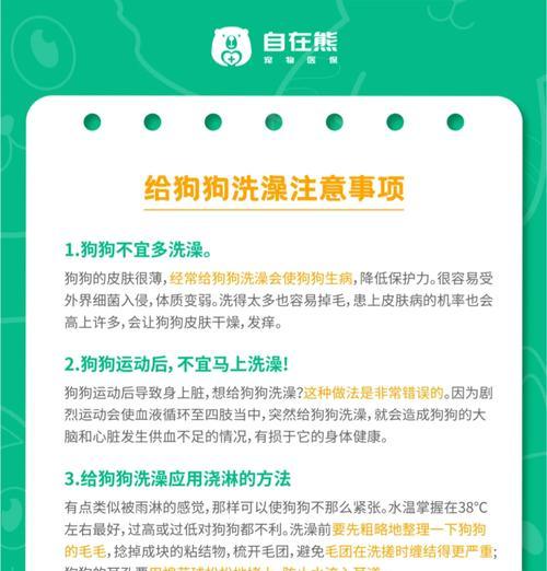 狗狗怀孕多久可以洗澡？（科学护理，守护母犬健康）