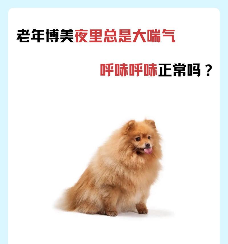 揭秘狗狗缺水的表现，了解它的重要性（掌握狗狗缺水的迹象，保护它的健康）