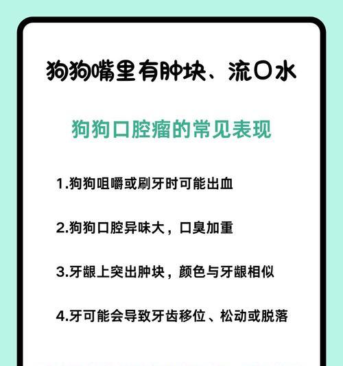 了解狗狗口腔溃疡的常见症状（口腔溃疡）
