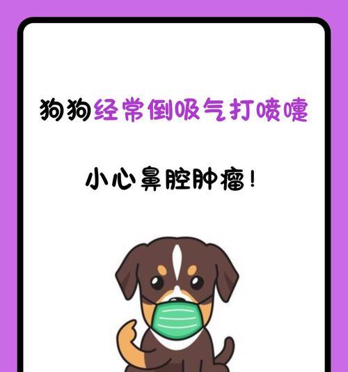 养护知识