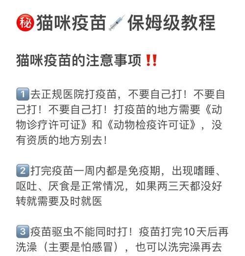 养护知识