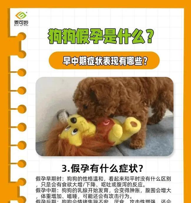 狗狗怀孕多久开始呕吐？（探究狗狗妊娠期早期的常见症状。）