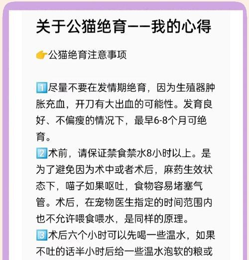 猫绝育手术后的醒来时间及注意事项（了解猫绝育手术后的恢复情况，守护爱宠健康）