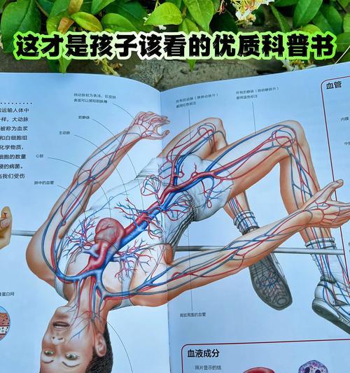狗狗每日饮水量科学解析与水分摄入关键全攻略