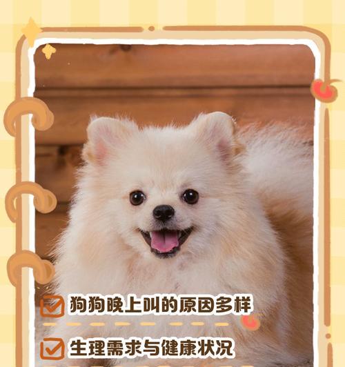 狗狗夜晚不停叫原因与解决方法全解析