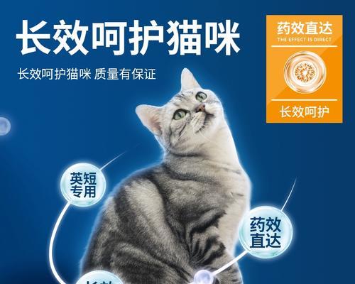 美国短毛猫驱虫周期与科学护理指南