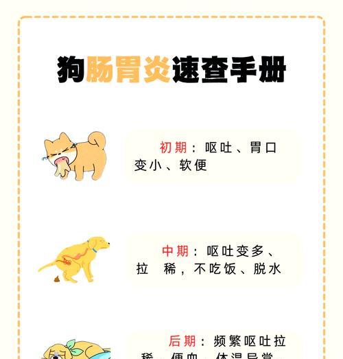 狗肠胃炎恢复期饮水指南：时间与方式全解析