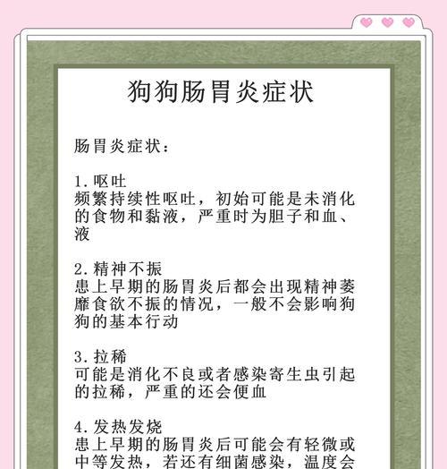 狗肠胃炎恢复期饮水指南：时间与方式全解析