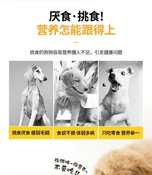 萨摩耶狗粮泡浸时间如何选择