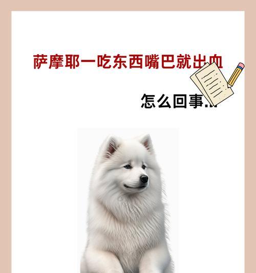 萨摩耶狗粮泡浸时间如何选择