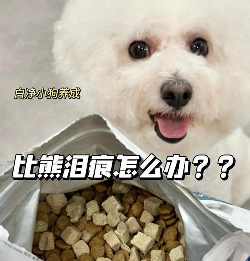 萨摩耶狗粮泡浸时间如何选择