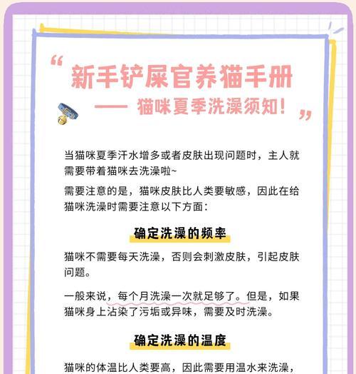 猫咪洗澡指南：最佳时间与正确方法全解析