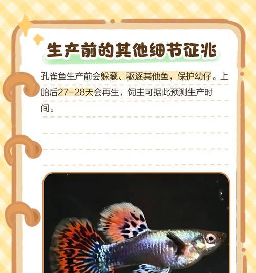 孔雀鱼繁殖周期全解析：产卵时间与方式