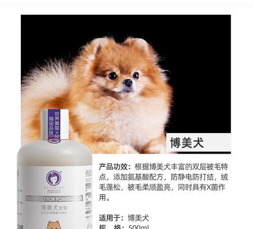 养护知识