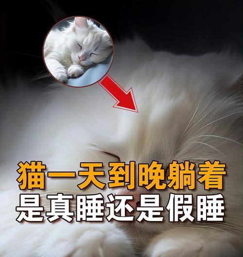 养护知识