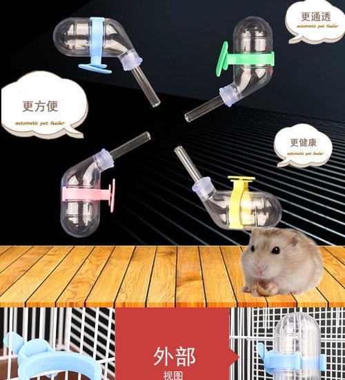 仓鼠的水分需求及脱水判断方法（仓鼠每天所需饮水量以及脱水症状的判断）