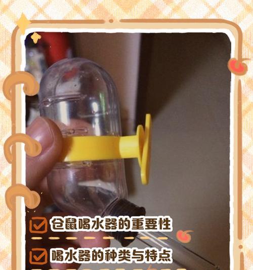 养护知识