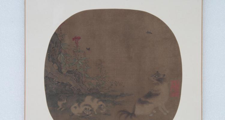 养护知识