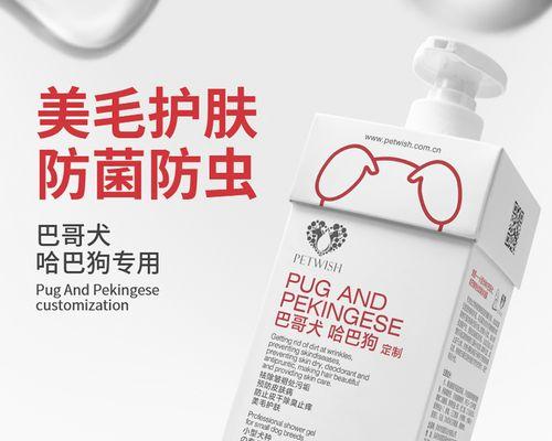 养护知识