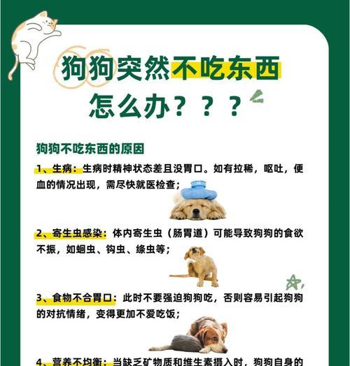 小犬为何对大狗凶叫，大狗为何默默走开