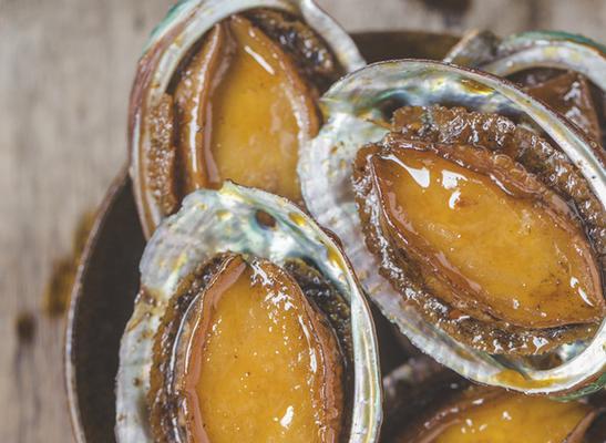 肺纤维化治疗药物时效性影响因素分析