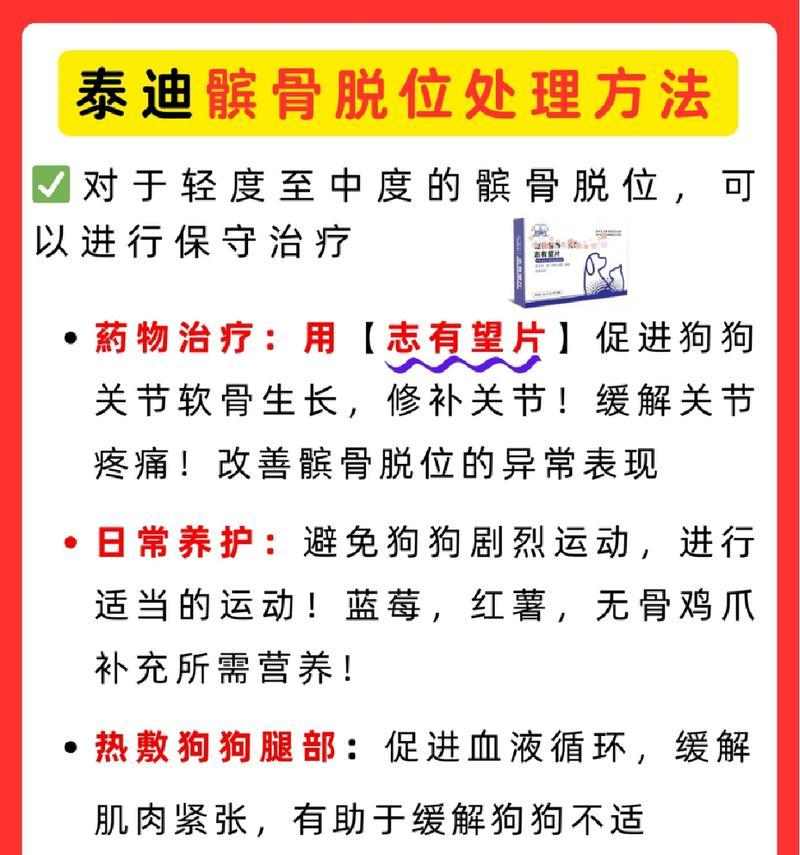 泰迪髌骨脱位对寿命影响及科学预防指南