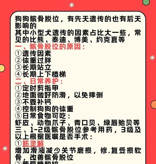 泰迪髌骨脱位对寿命影响及科学预防指南