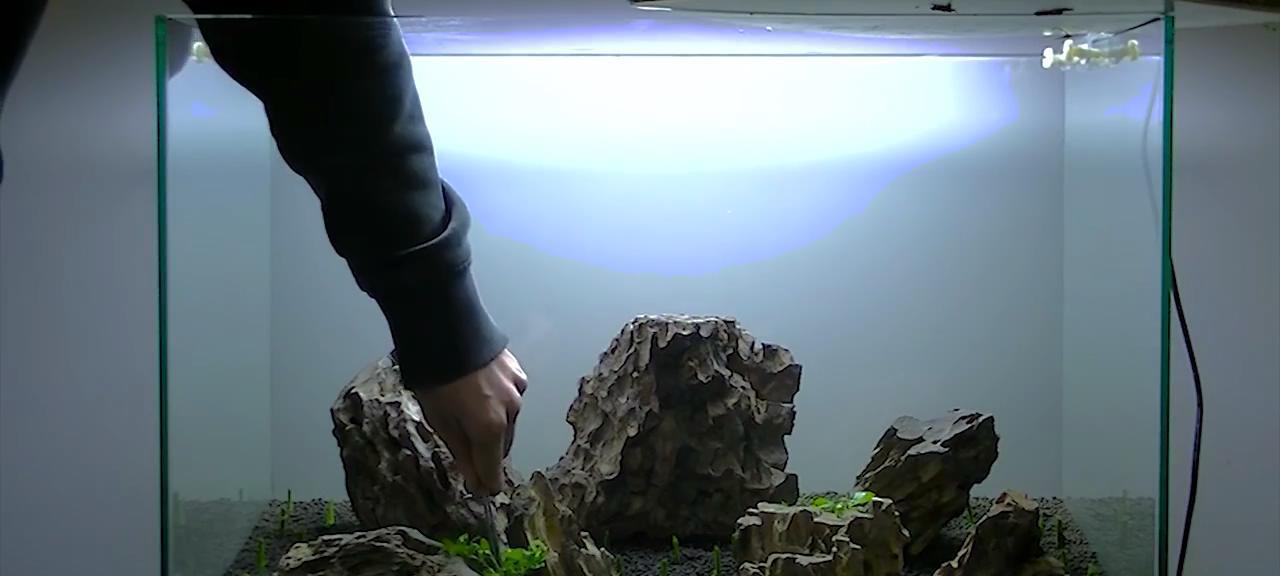水族箱布景技巧：岩石、植物与装饰品搭配