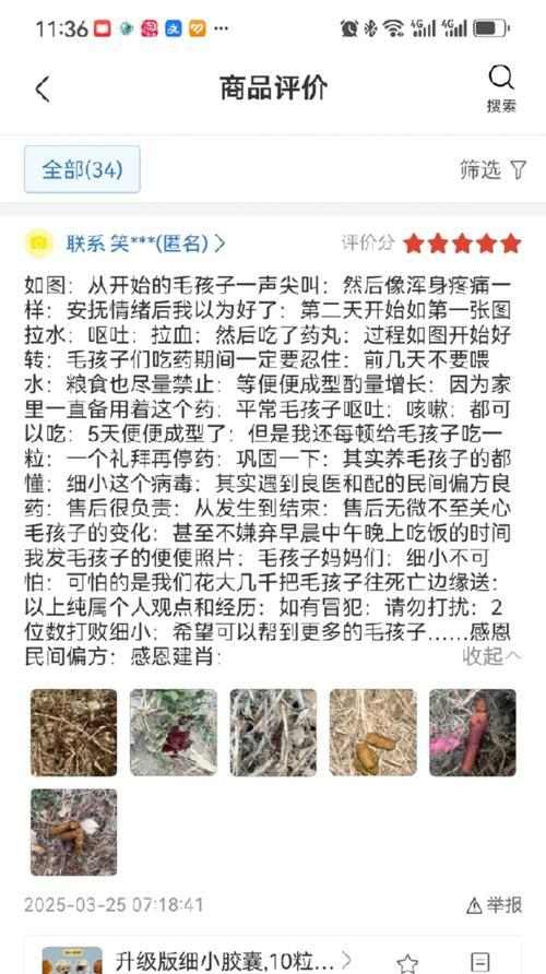小狗拒食变瘦怎么办？排查病因与科学喂养指南