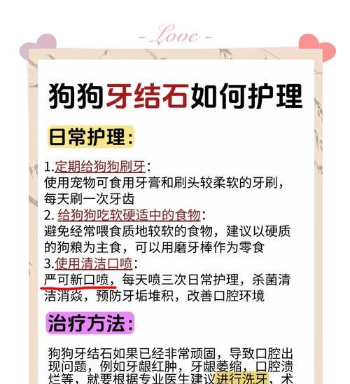 狗狗牙结石预防全攻略：饮食与护理必知要点