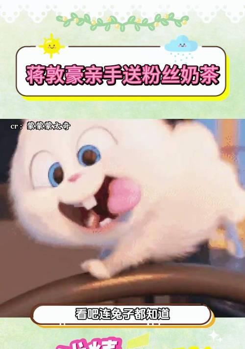 兔子怀胎多久及繁殖周期全解析