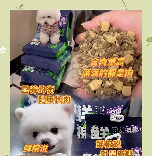 科学饮食对抗小狗内火：15种有效降火食物