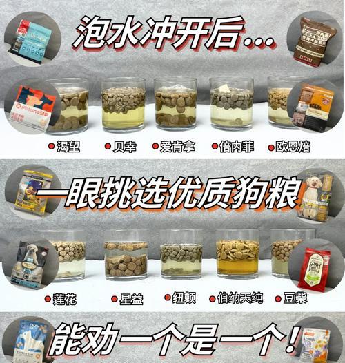 德牧幼犬狗粮泡发时长与喂养技巧全解析