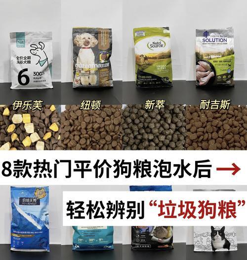 德牧幼犬狗粮泡发时长与喂养技巧全解析