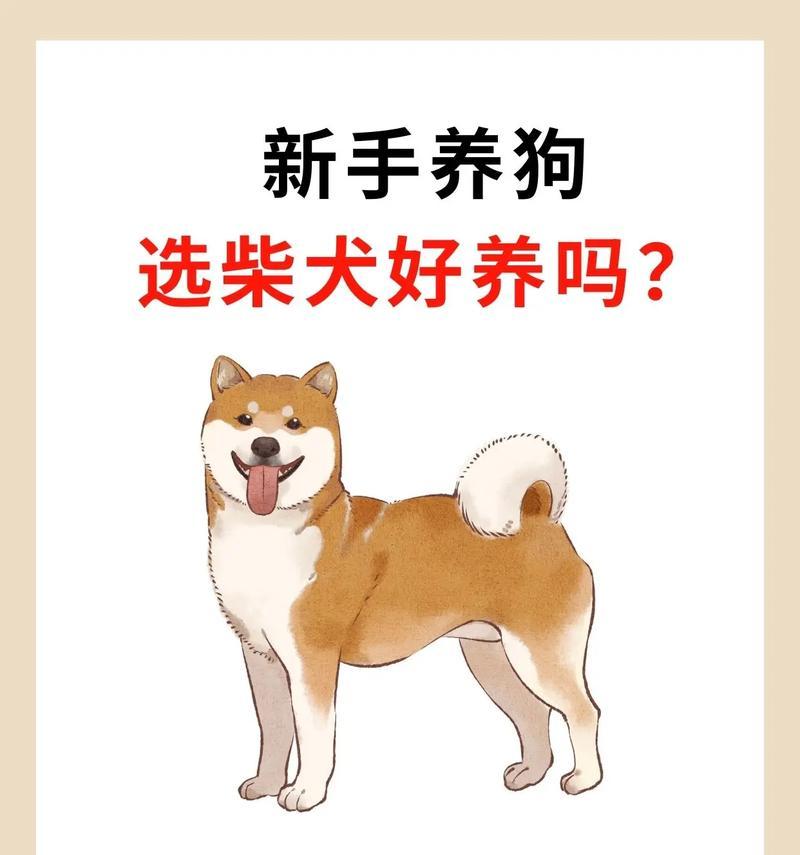 柴犬为何未爆脸？原因与促爆指南