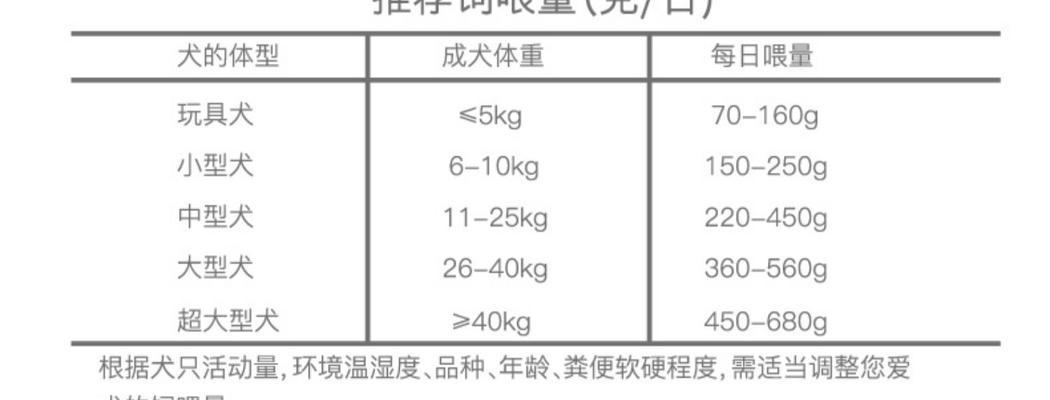 小牧羊犬喂食时间及分阶段饮食建议