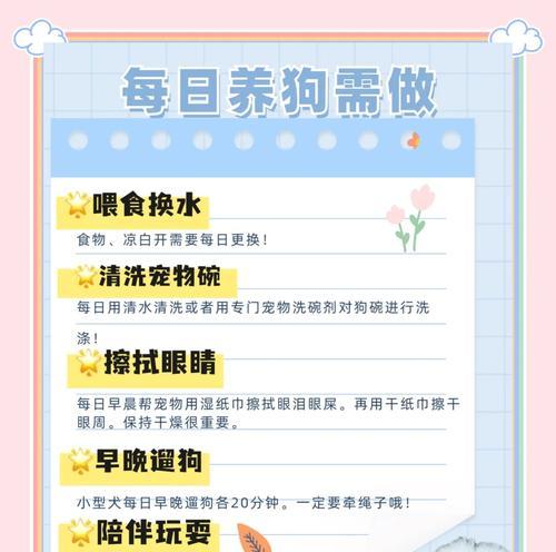 小牧羊犬喂食时间及分阶段饮食建议