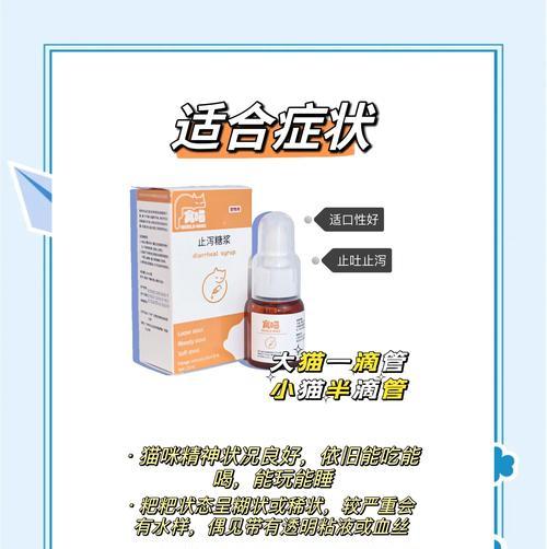 怀孕猫咪拉稀预防与护理指南