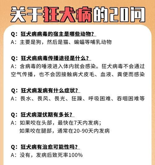狂犬疫苗后科学护理小狗洗澡注意