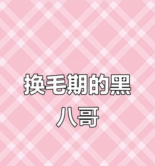 花八哥换毛周期及注意事项（了解花八哥换毛的时间和保持健康的方法）