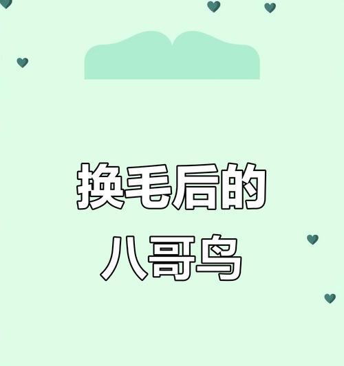 花八哥换毛周期及注意事项（了解花八哥换毛的时间和保持健康的方法）