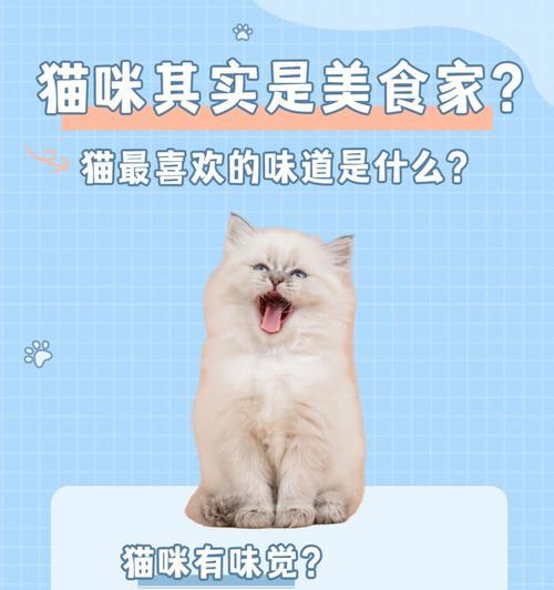 猫咪的最爱美食探秘（揭秘猫咪的味蕾之旅，这些食物能俘获它们的心（）
