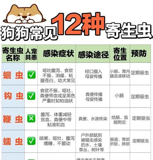 宠物狗狗的驱虫时间（科学驱虫，让狗狗远离寄生虫的危害）