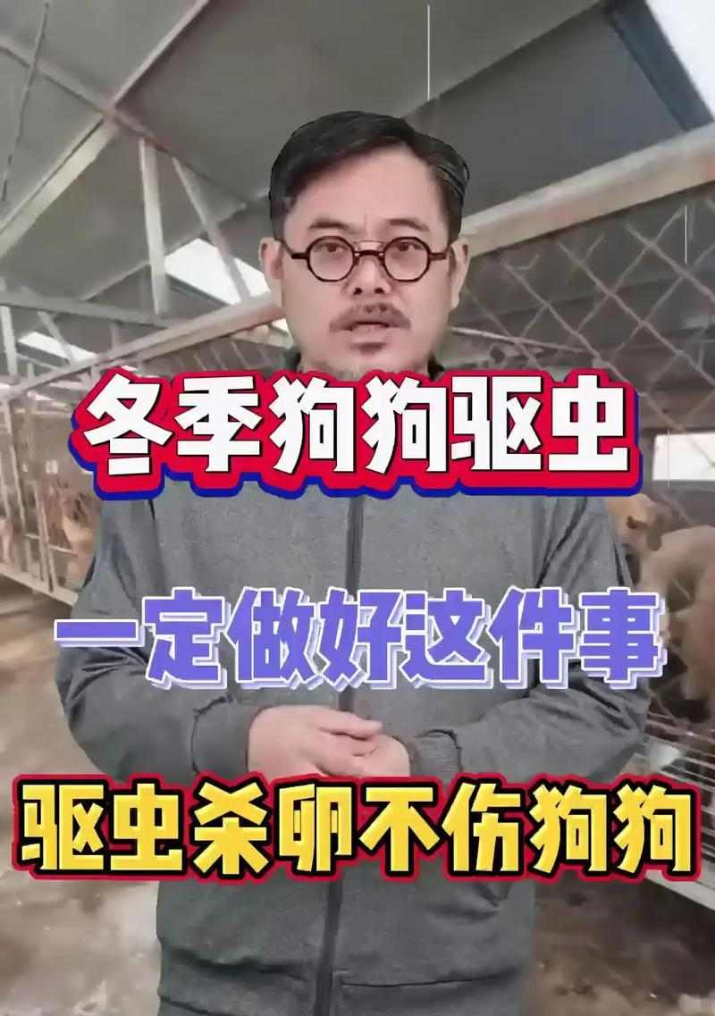 宠物狗狗的驱虫时间（科学驱虫，让狗狗远离寄生虫的危害）