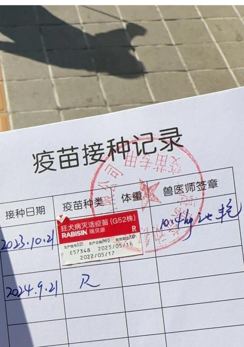 小狗育苗（了解小狗狗育苗的正确时间和方法，确保它们的健康成长）