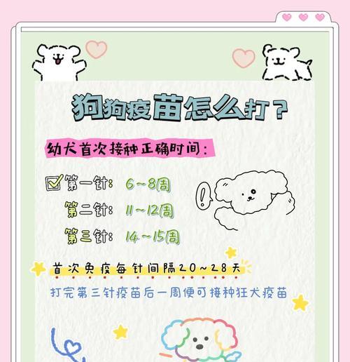 养护知识