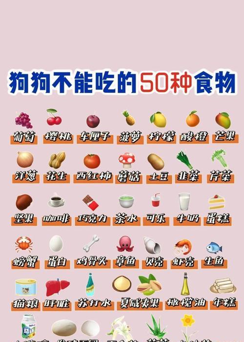 体型小巧的狗狗（揭秘食量小却活力十足的狗狗品种）